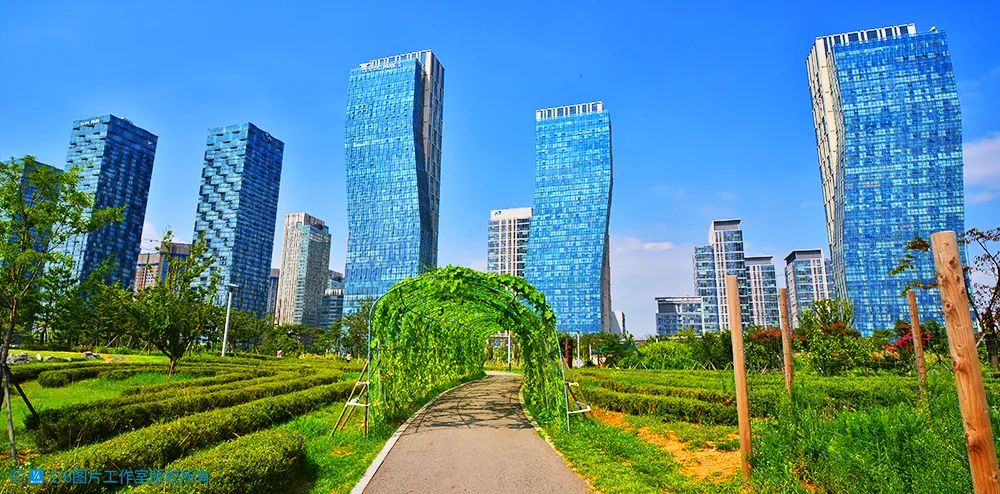 李忠观点丨科学人才——科学城的首要成果（四）