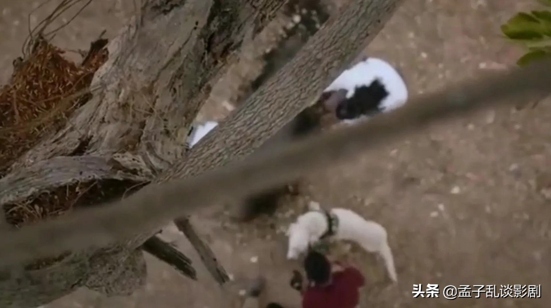 局中局案中案，印度2022年最烧脑的电影：宿敌,1