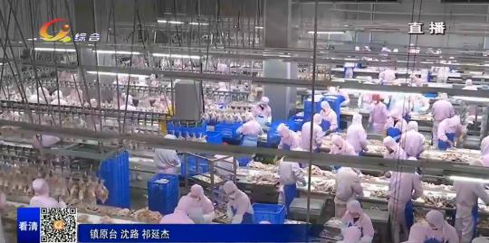 你好昨天正式播出时间,你好2023新闻报道