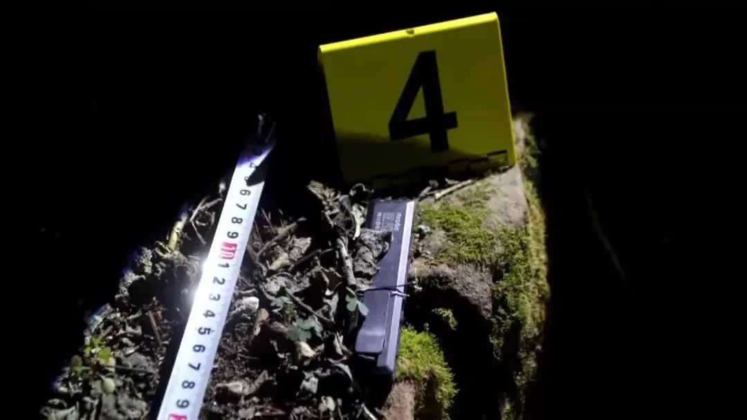 程浩胡鑫宇,胡鑫宇真相如何