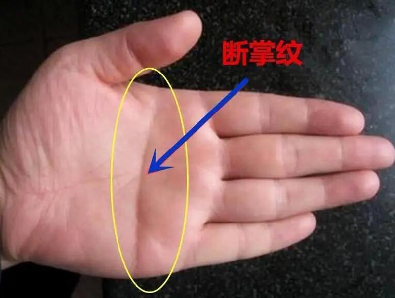 有断掌的人代表是什么意思,断掌一条线富贵不相欠什么意思