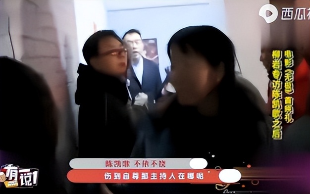 如何看待陈凯歌对柳岩发怒,陈凯歌怒斥柳岩