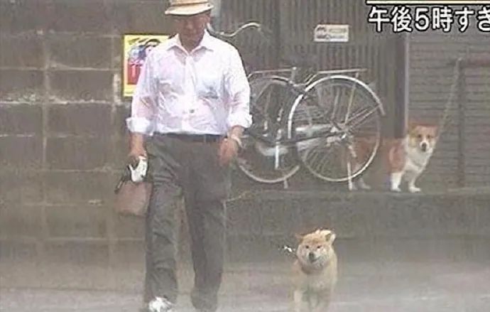 谐音梗搞笑段子全部,谐音梗搞笑的段子