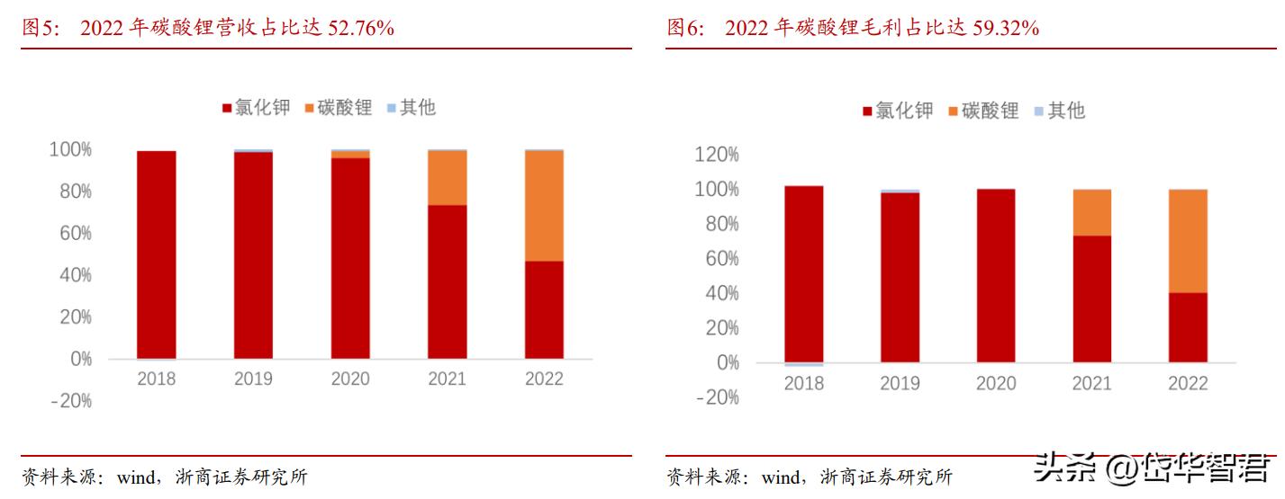 藏格锂业与藏格矿业,藏格矿业深度分析