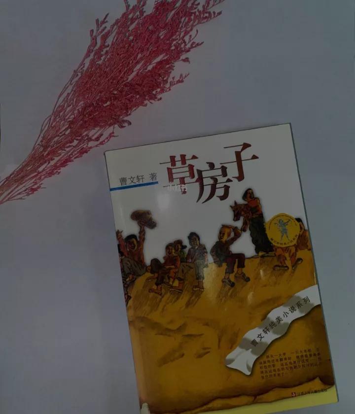 好书推荐手抄报,好书推荐