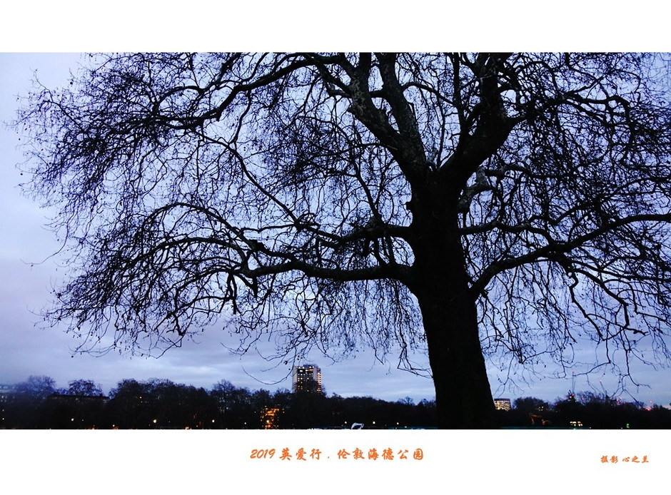 伦敦海德公园英国最大的皇家公园,浮光掠影免费阅读全文