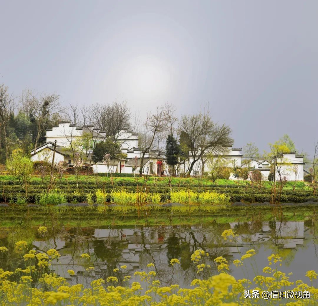十一假期旅游推荐信阳市,十一假期信阳免费景点