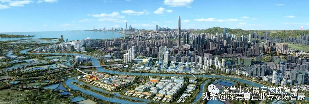 深圳各区县人均可支配收入排行榜,广深各区人均可支配收入排名