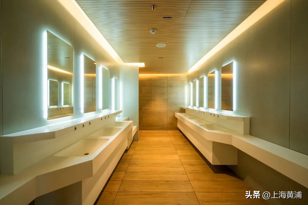 世界厕所日要做什么,世界厕所日