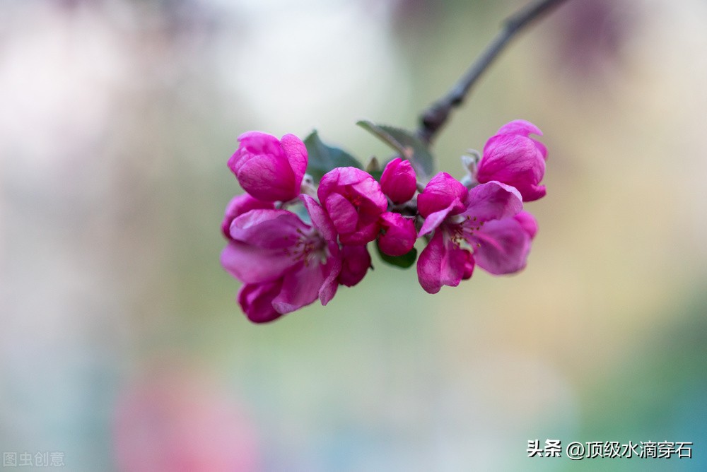 2022年结婚选好日子,为什么结婚要选个好日子