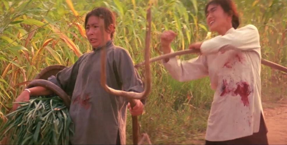 电影红高粱的角色分析,电影红高粱最成功之处