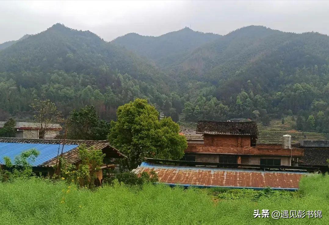 在乡下的初恋,青涩的乡村