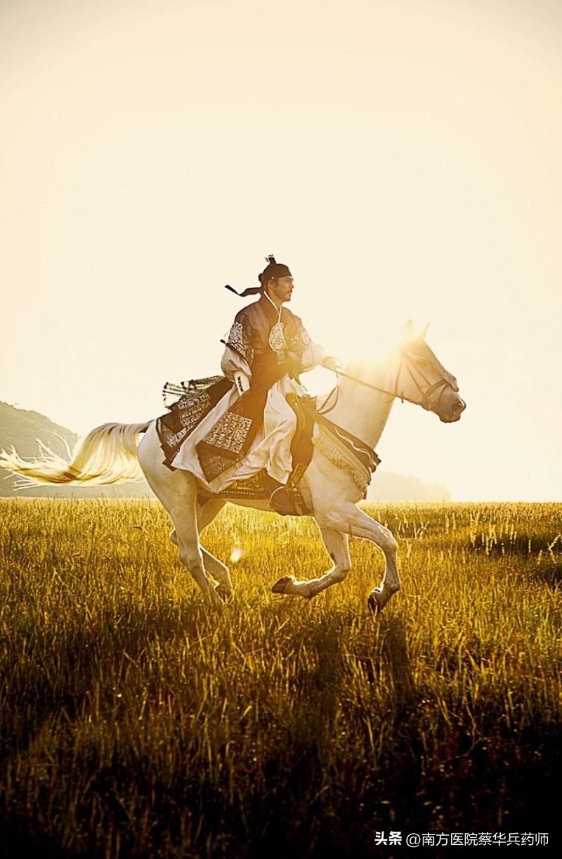 过路黄是清热解毒吗,过路黄草药可以去结石吗