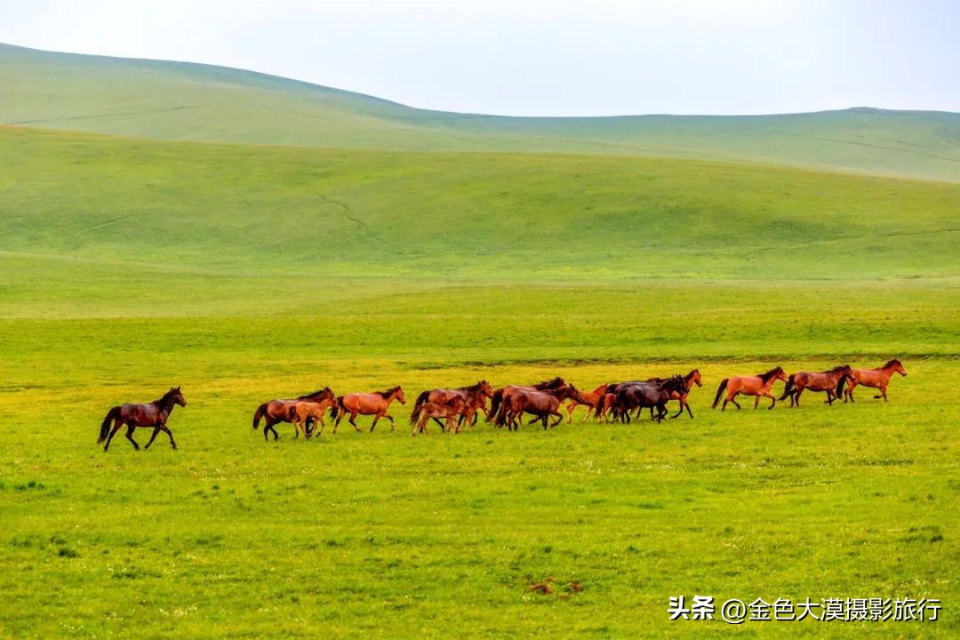 新疆的北疆南疆伊犁哪个最好玩,新疆的伊犁旅游区