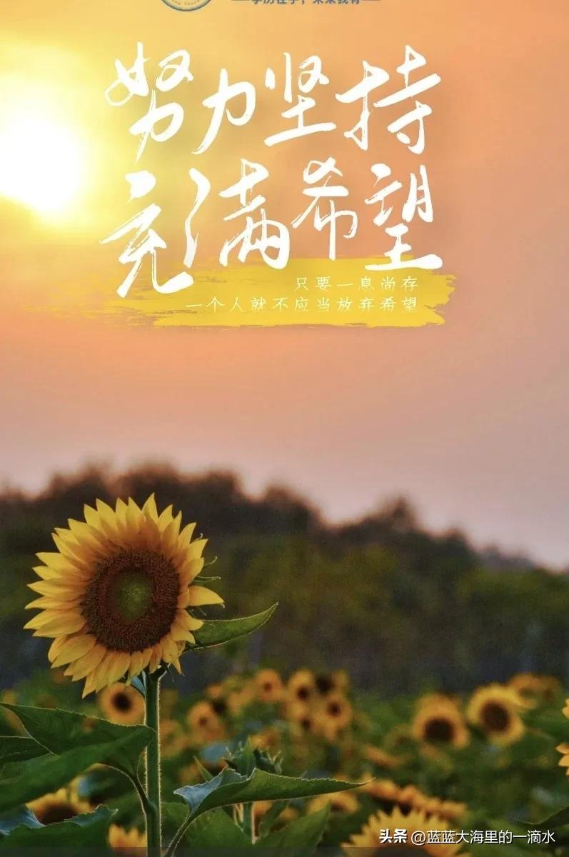 高考落榜后应该怎么办知乎,高考落榜可以上中专吗