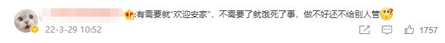 南京流浪猫被集体安乐死,南京总统府流浪猫事件