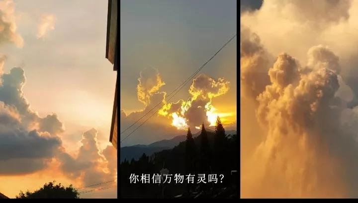 云表情慢慢变粉的表情,云表情包动图