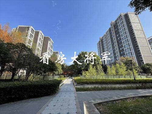 涨到心发慌，这里会是埋人的无底洞吗？#B050