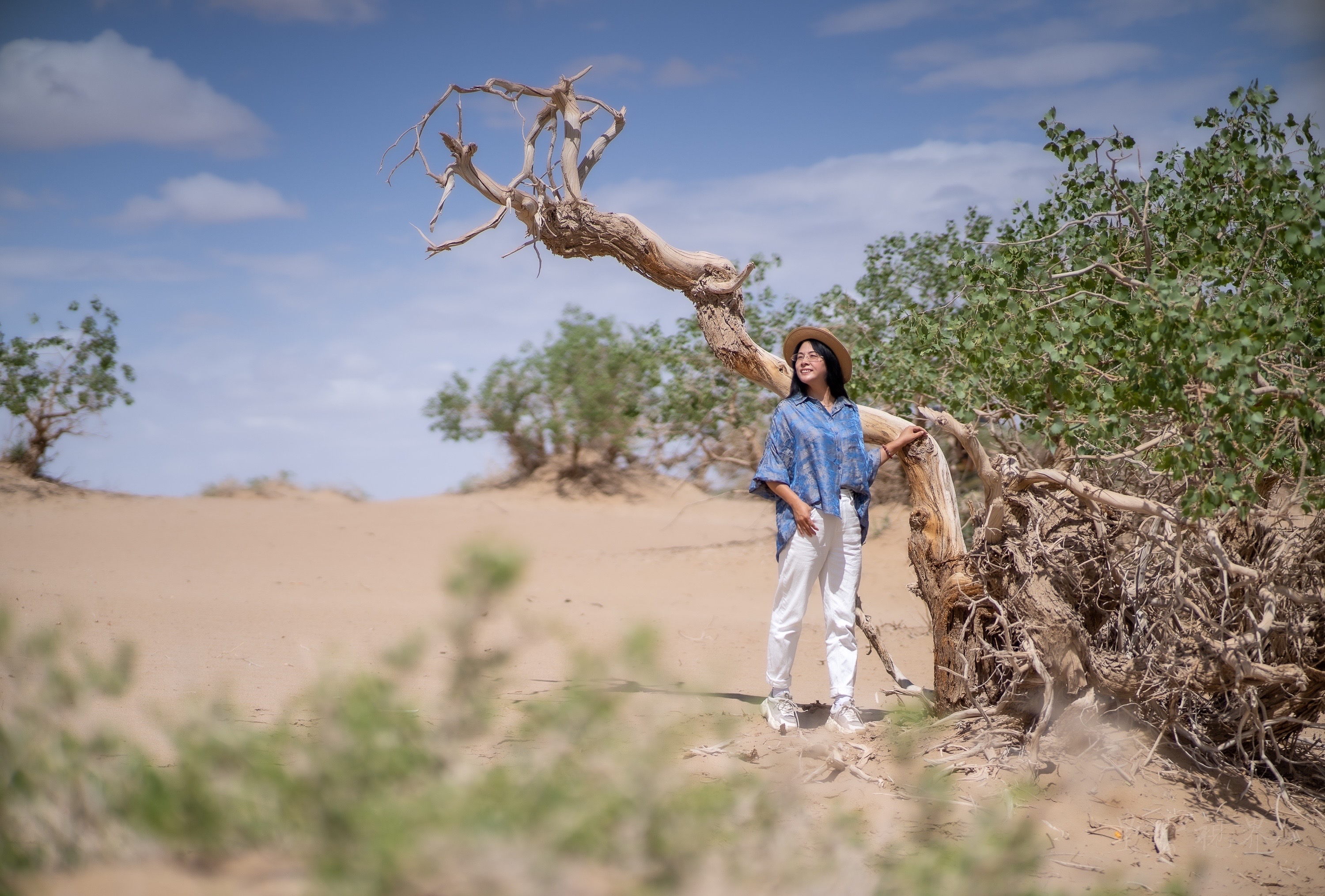 实拍格尔木胡杨林，海拔2800米，连绵1700亩，苍凉辽阔，拍照超酷