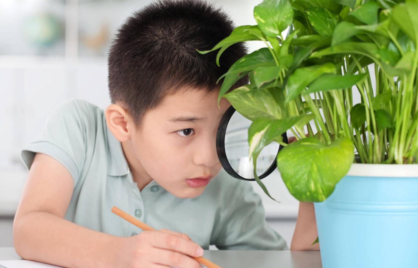 孩子学习兴趣不高,如何提高他们的兴趣,有哪些方法可以去尝试?