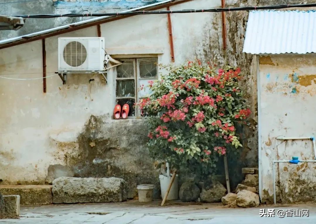 珠海值得去的海岛,珠海最适合游玩的海岛