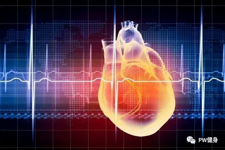 额外训练,路易斯练肌肉