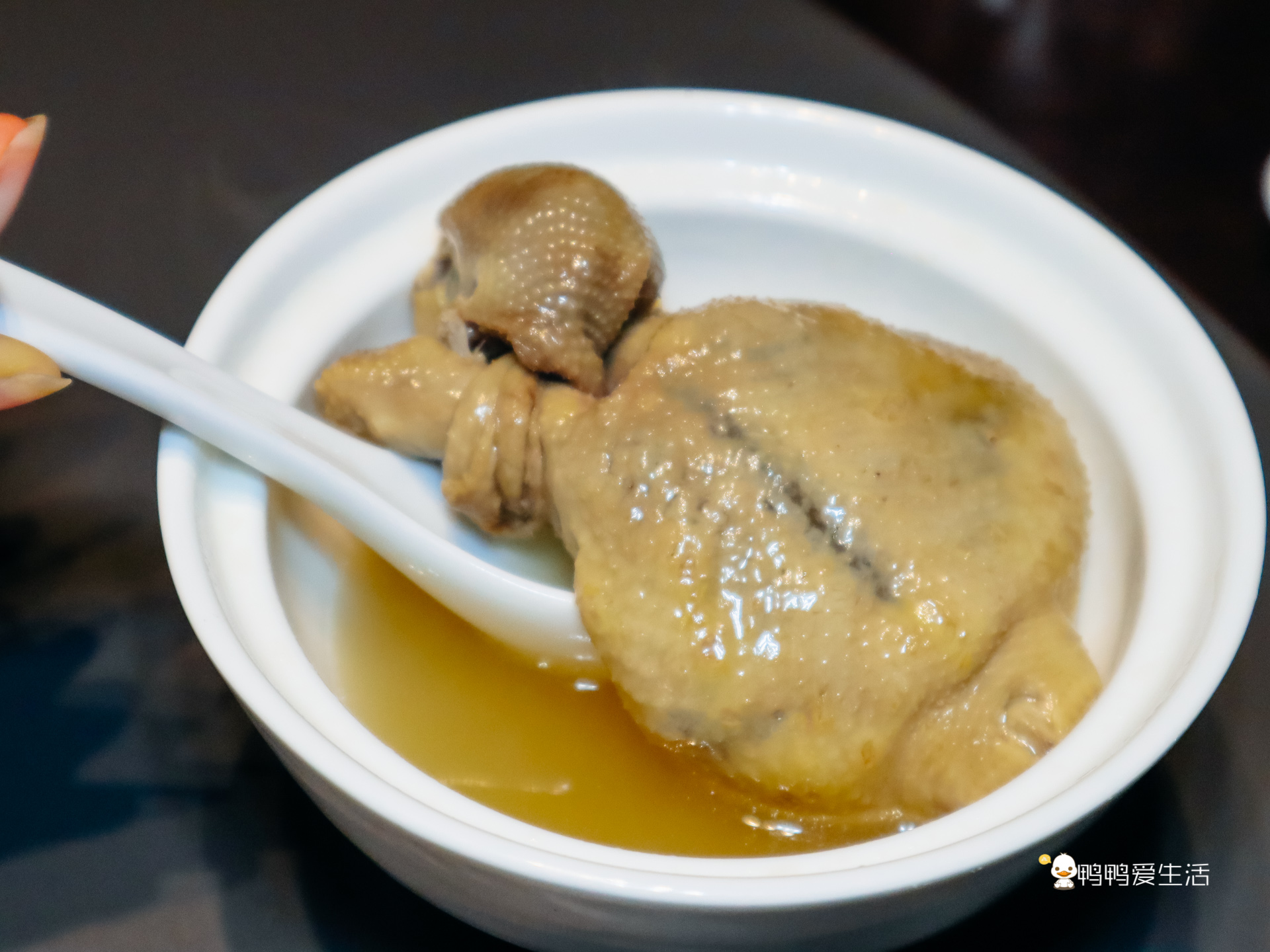 厦门这家巷子里的私房菜,厦门这家主打闽粤菜餐厅