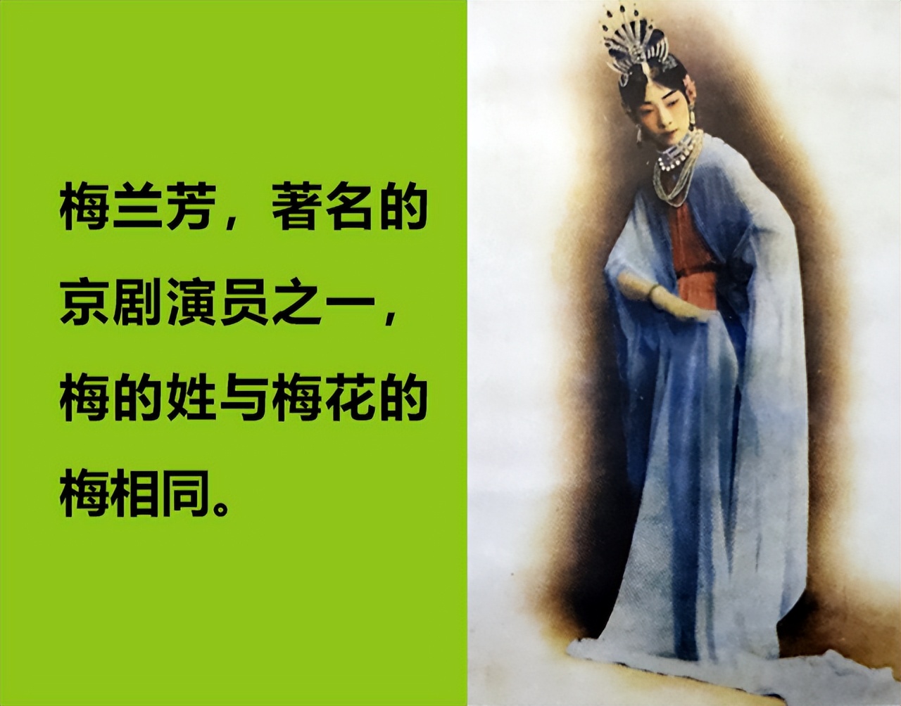 梅花公司成立 (梅花总部成立)