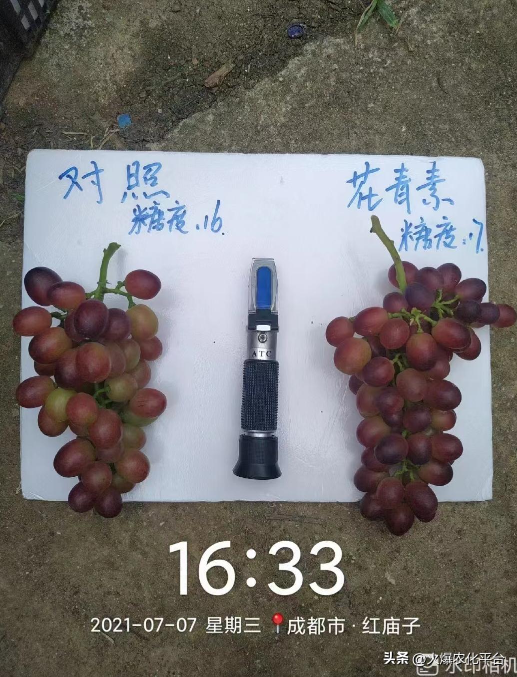 西班牙原装进口肥料艾德拉,西班牙艾德拉农肥料有限公司