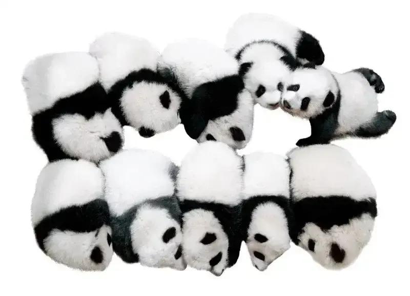 幽默爆笑笑话100个搞笑段子,幽默笑话搞笑段子100篇