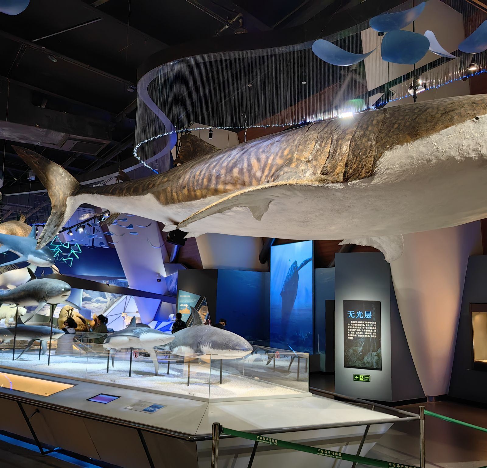 天津国家海洋博物馆参观感受,天津海洋博物馆到天津航母公园