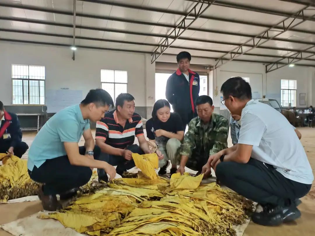 共创乡村振兴发展新格局,全面推进乡村振兴打造五美乡村