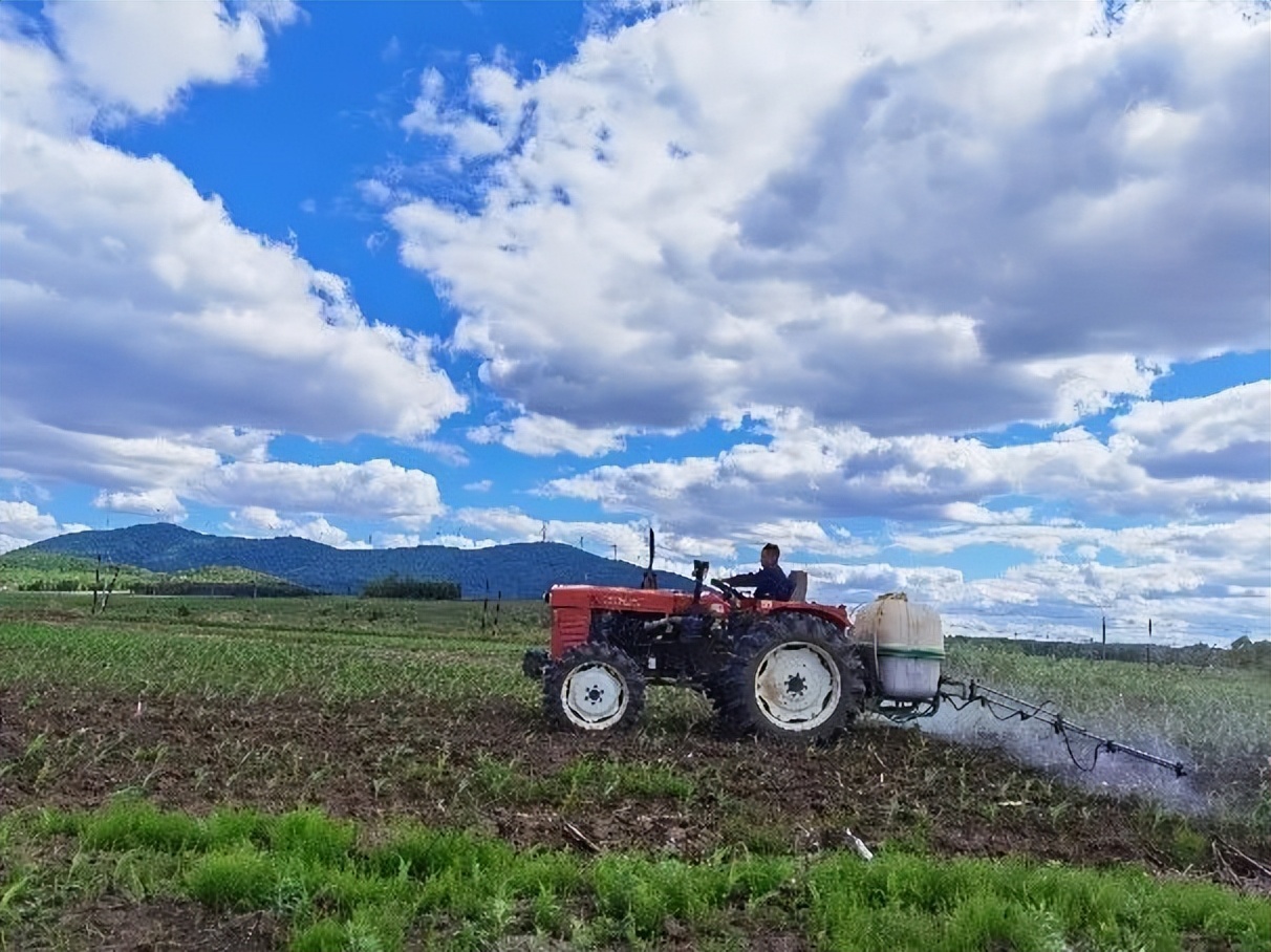 东北黑土退化的原因及措施,东北黑土退化的原因及治理措施