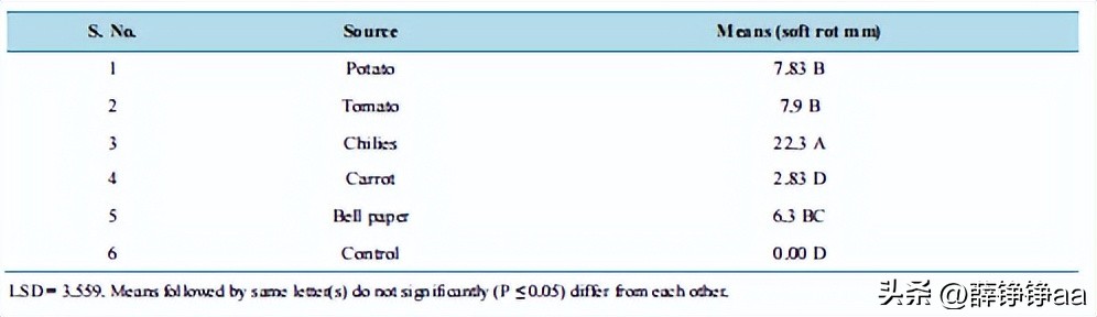 番茄青枯病害鉴别,分离番茄茎腐病真菌的方法