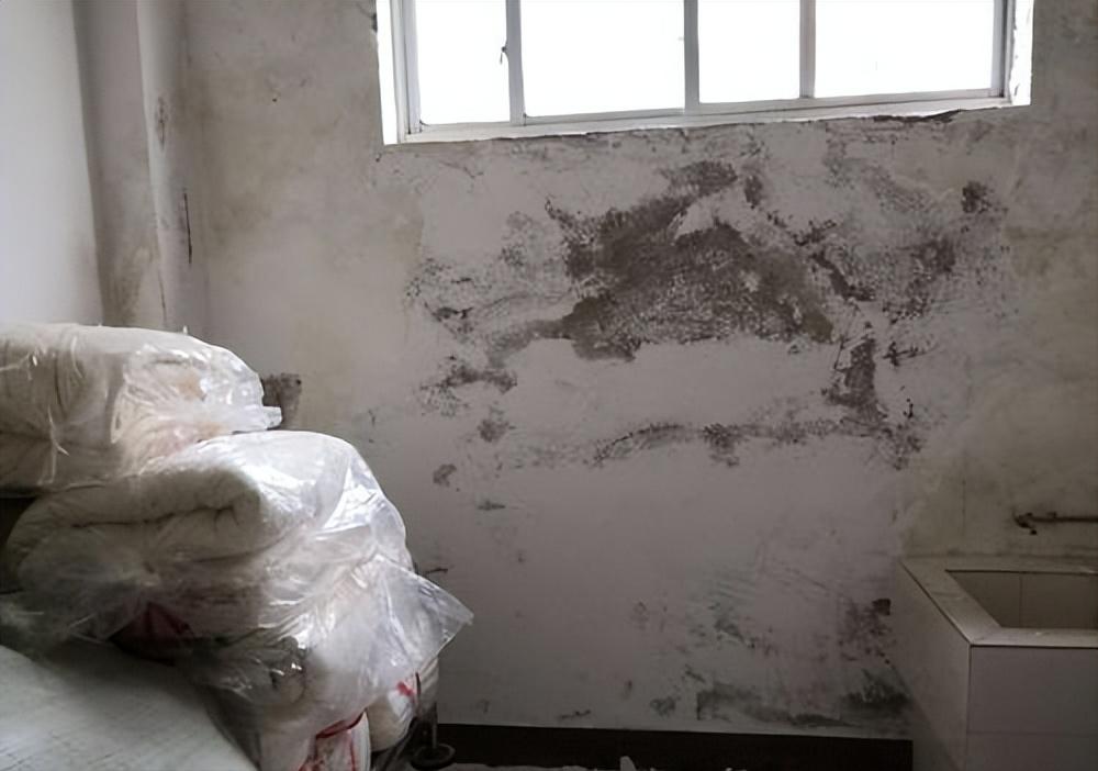 墙壁发黑发霉严重怎样处理掉,墙壁发霉变黑直接刷白可以吗