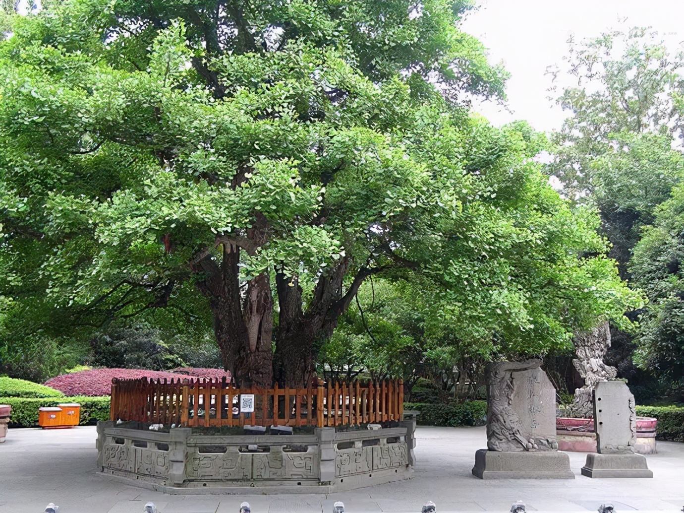 拜水都江堰问道青城山类似的话,拜水都江堰的拜水什么意思