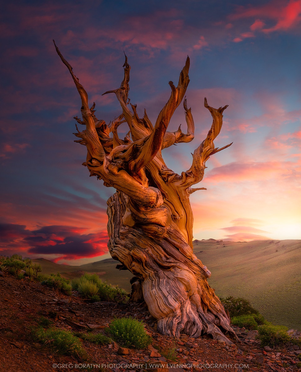摄影五大景别简单介绍,风景摄影深度解析