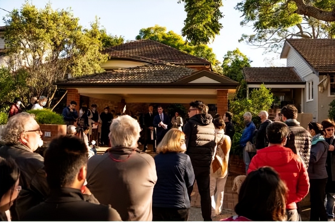 涓浗涔板娴峰鍦颁骇,鍐呭湴涔板閲嶈繑棣欐腐璞畢甯傚満