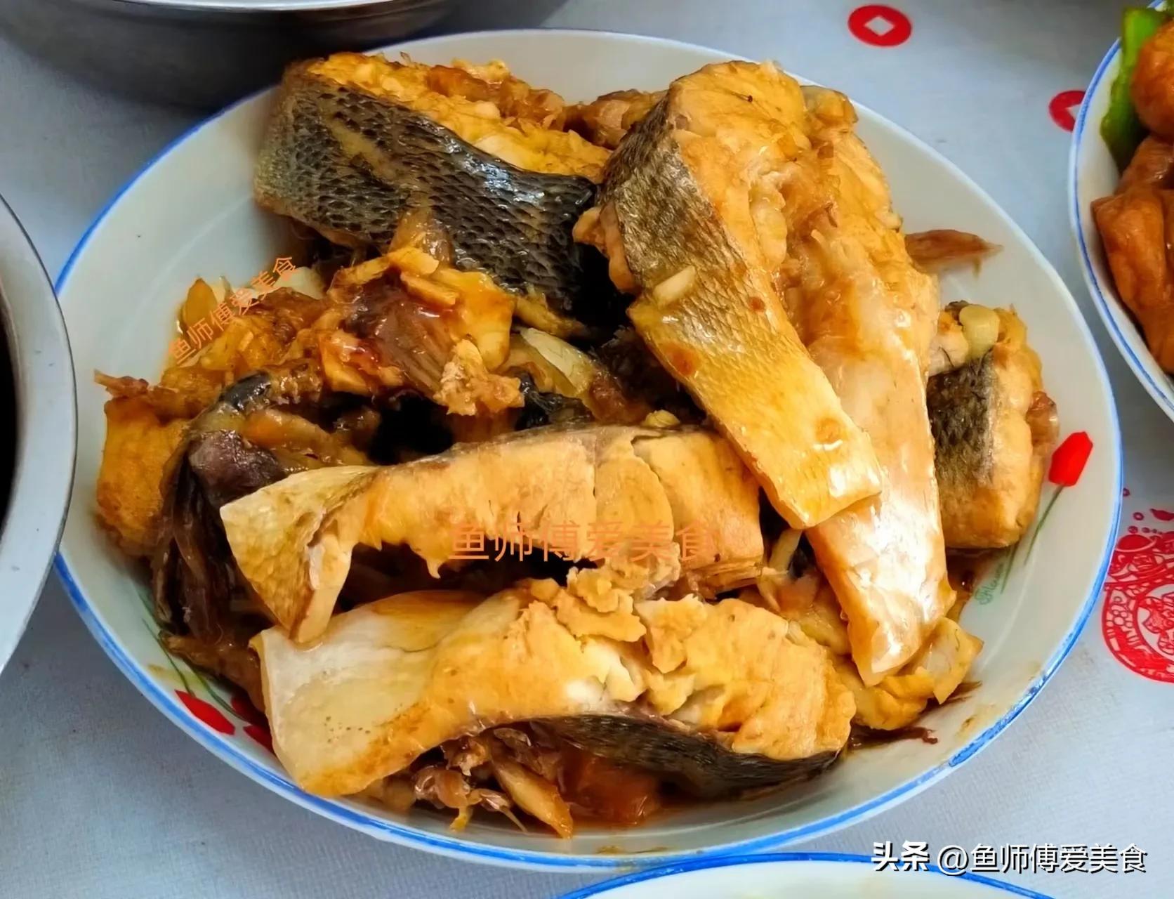 超级好养的海鱼,春季什么海鱼便宜又好养