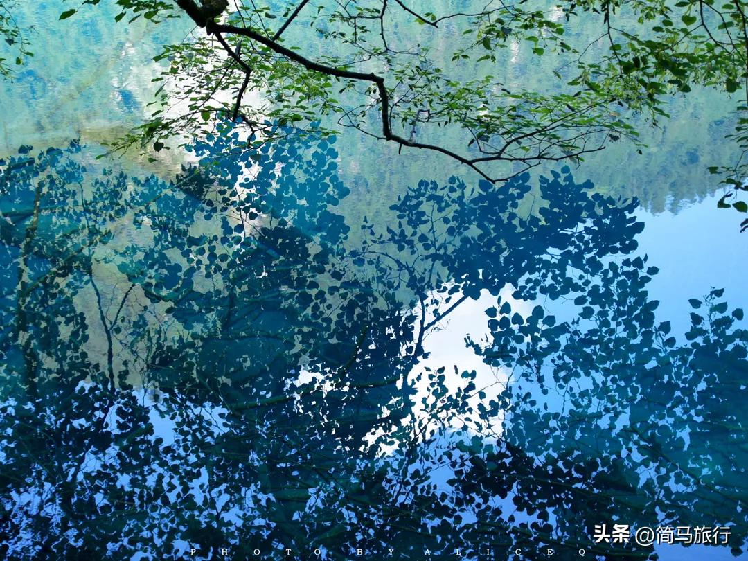 九寨沟旅游几天好,成都九寨沟旅游3-4天攻略最佳线路