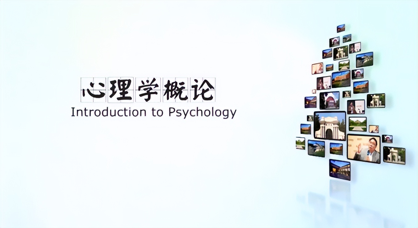 为什么都应该学一点心理学,每个人都应该学一点心理学的研究