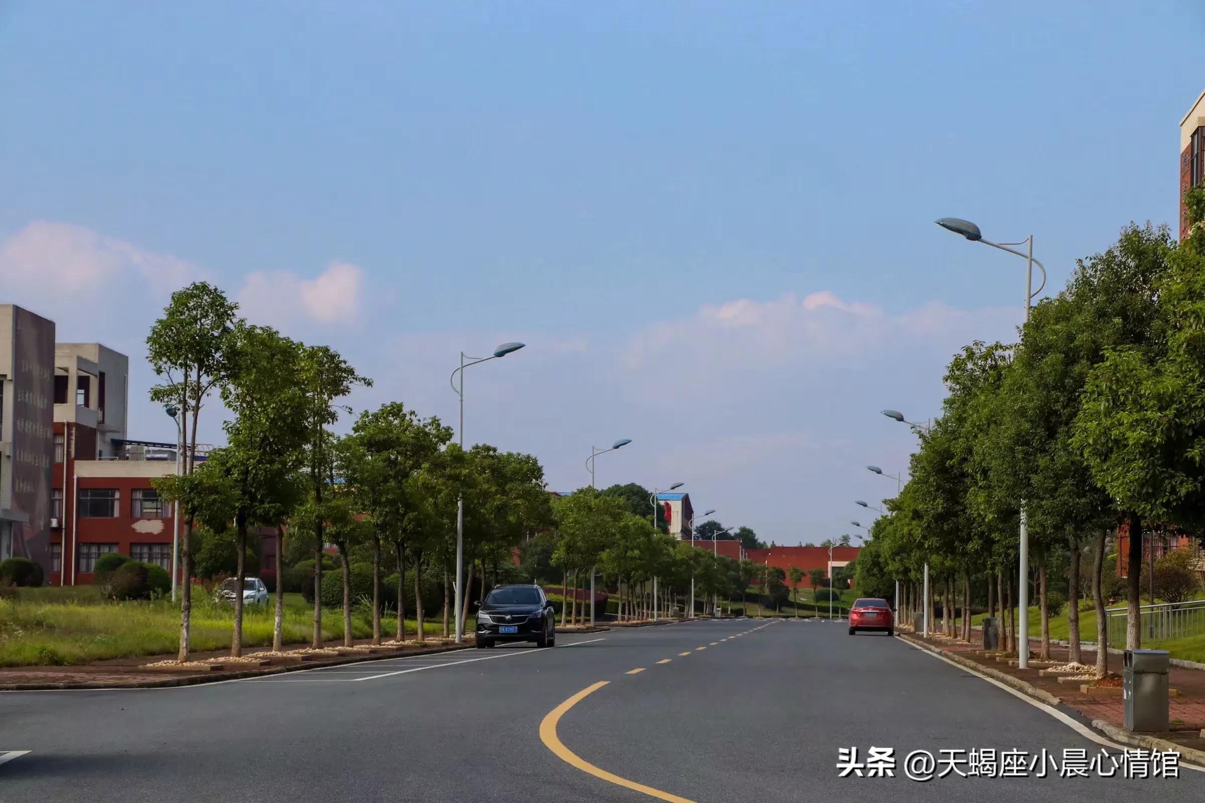 你花钱的态度已经超过你的能力,你花钱的方式决定你的层次