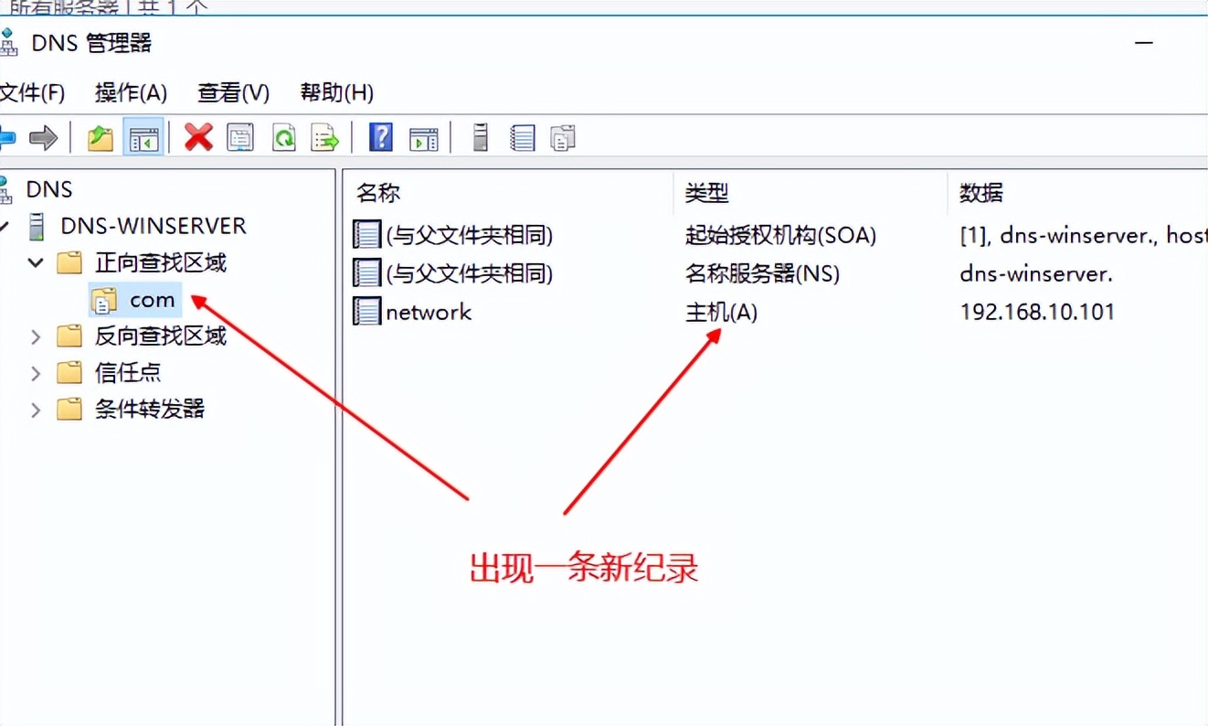 windowsserver2012dns服务器搭建,windows平台搭建dns服务器