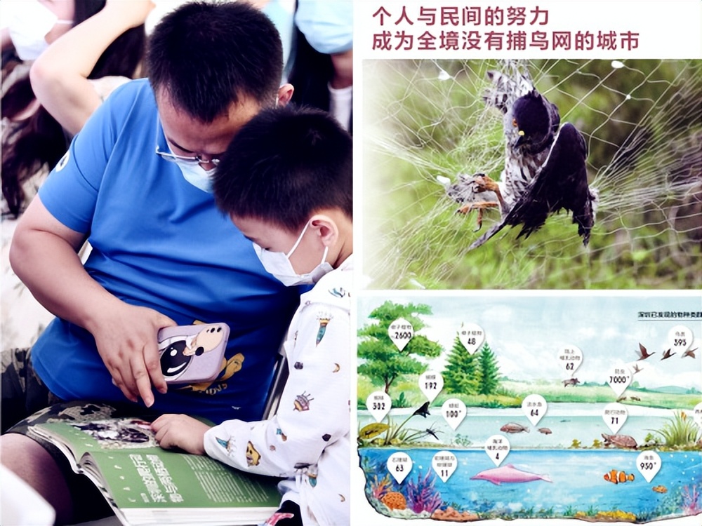 瑗夸附婀栧ぇ璁插爞,娣卞湷甯傚崡灞卞尯瑗夸附婀栧ぇ璁插爞