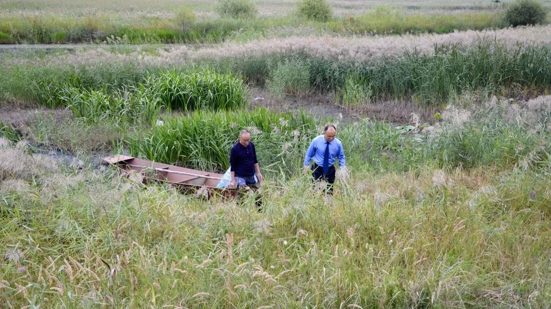 多举措保护湿地,加强湿地保护共创和谐家园