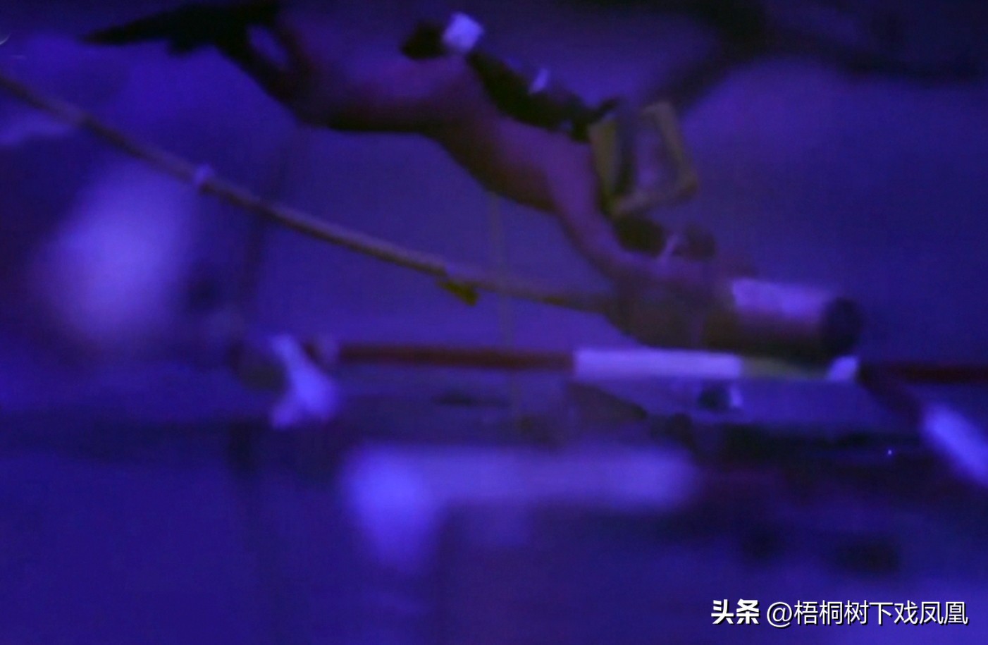 华光礁1号沉船古瓷,沉船古瓷