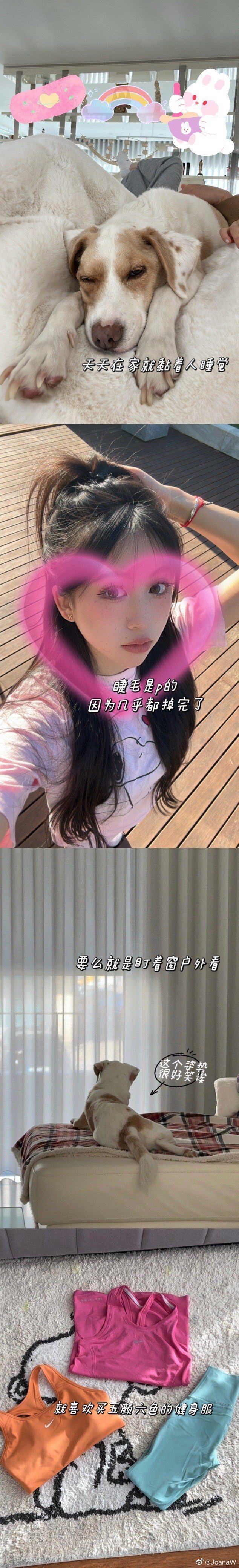 韦世豪妻子吴雅哪里人,韦世豪吴雅是夫妻吗