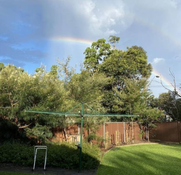 美丽的大自然的作文,美丽的大自然现代诗