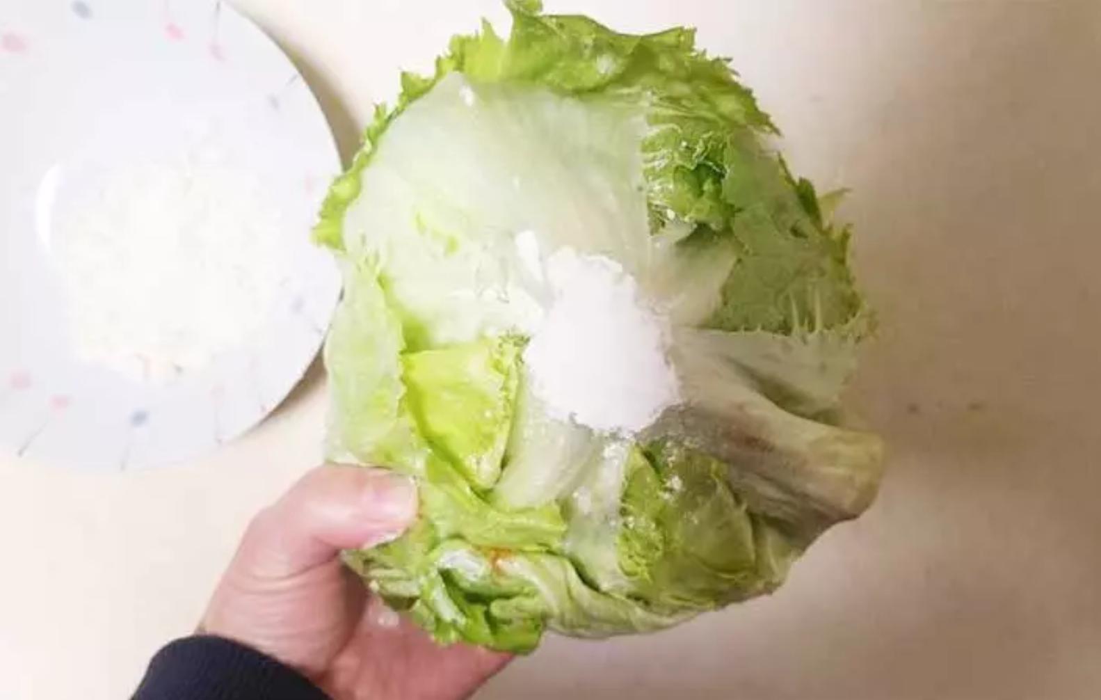 生菜怎么保存能保鲜时间长,生菜怎么保存放时间更长