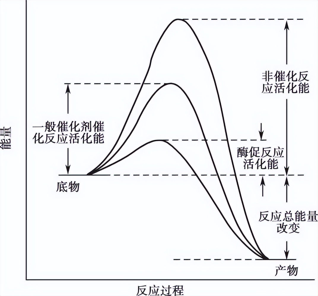 反应控制相转移催化液相丙烯环氧化工艺研究